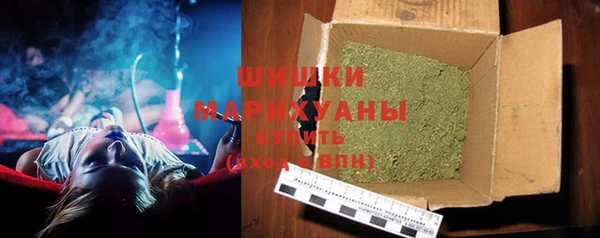 гашик Верея