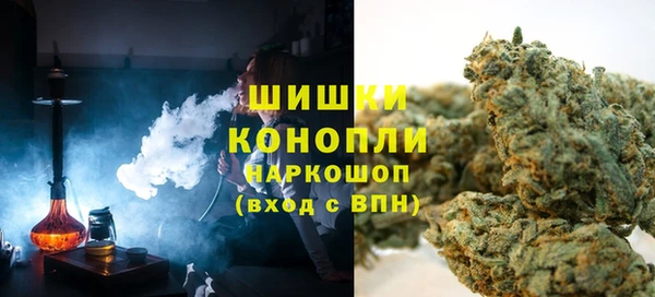 гашик Верея